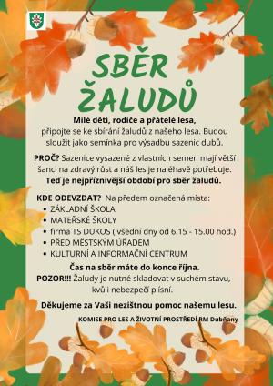 žalud